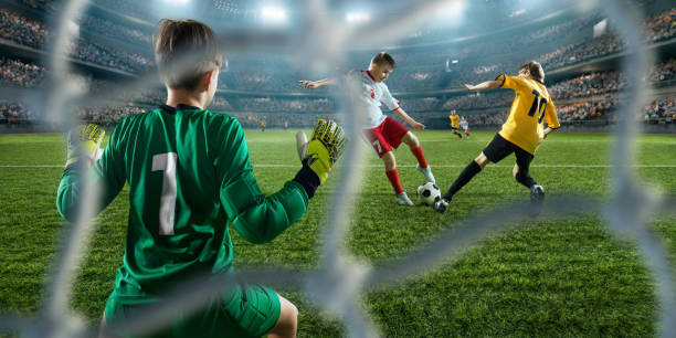 水晶宫足球 水晶宫足球