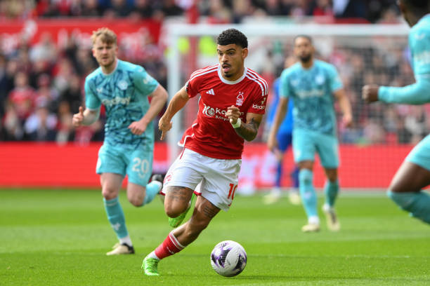 大豪门的关 大豪门的关